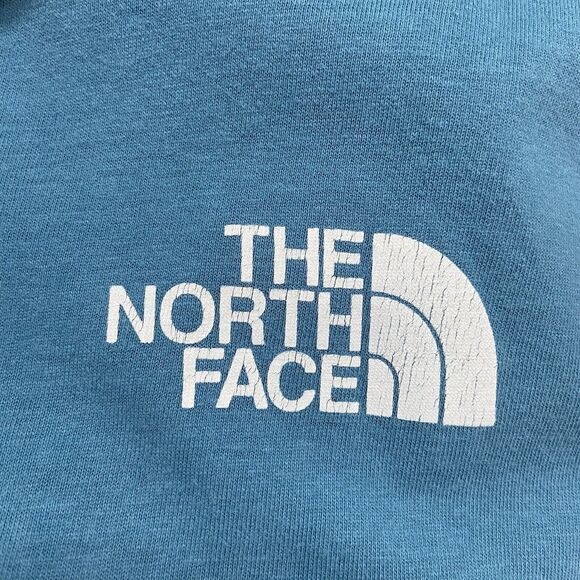The North Face Men’s Tee Shirt Size L Blue Short Sleeve Yucca Cactus 100% Cotton - Picture 8 of 10